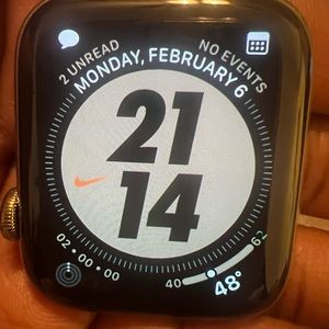 Apple Watch 6 Stainless Steel Gold 44mm.